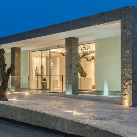 Tsamis Zante (adults Only) فندق Psarou (Zakynthos)
