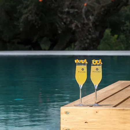 فندق Tsamis Zante (adults Only) Psarou (Zakynthos)