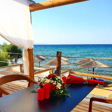 Tsamis Zante (adults Only)