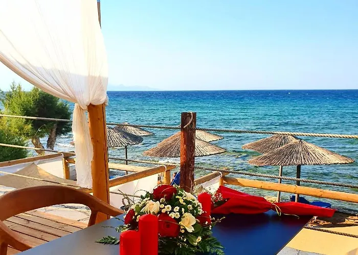 Tsamis Zante (adults Only) 5* Psarou (Zakynthos)