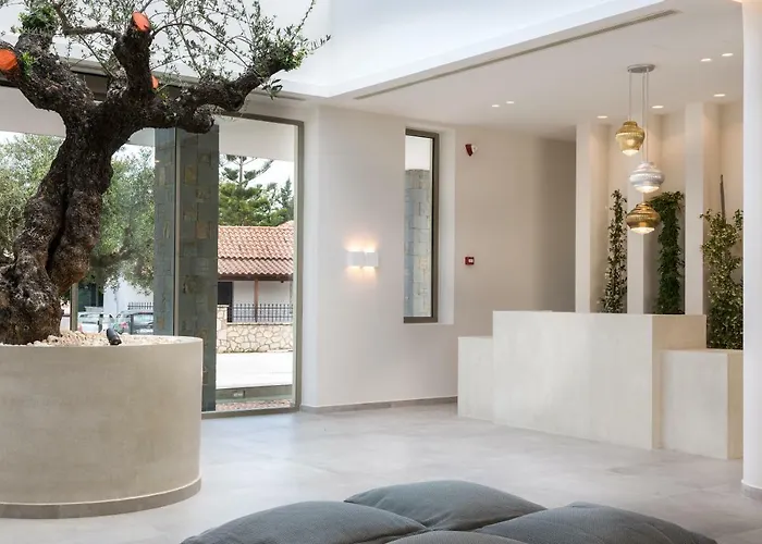 Tsamis Zante (adults Only) Hotel Psarou (Zakynthos)