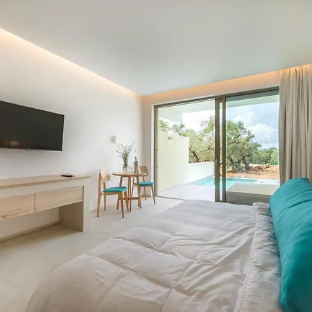 Tsamis Zante (adults Only) 5* Psarou (Zakynthos)
