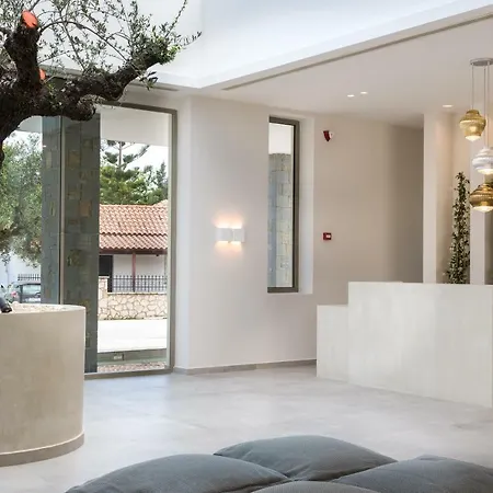 Tsamis Zante (adults Only) Hotel Psarou (Zakynthos)